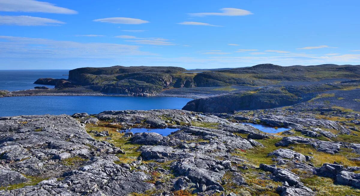 Дальних зеленцов. Поселок дальние зеленцы мурманской области. Дальние зеленцы мурманская область. Мурманский морской биологический институт дальние зеленцы. Остров зеленцы в ладожском.