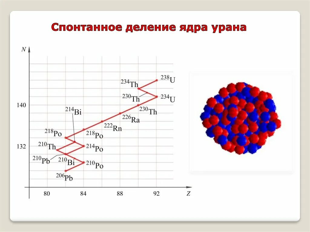 Заряд ядра урана 238. Распад урана 235. Спонтанное деление ядер. Спонтанное деление урана. Деление ядер урана.