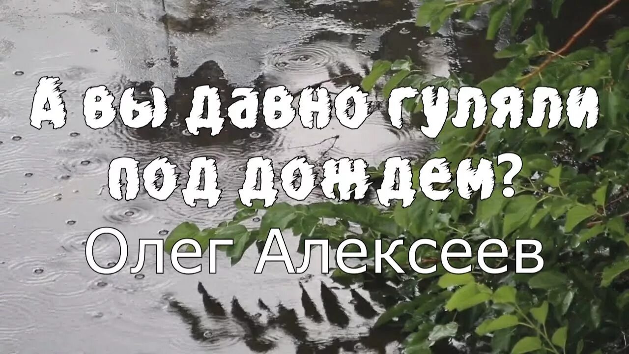 Нибудь погуляем. Стих под дождем. Стихотворение а вы давно гуляли под дождем. Гулять под дождем стихи.