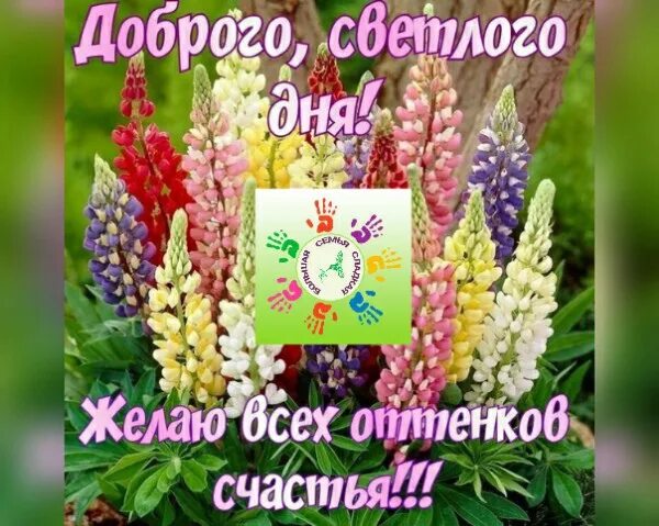 Добрый день жизнь продолжается. Доброе утро семья. с добрым утром жизнь продолжается. всем доброго утра семья. доброе утречко семья.