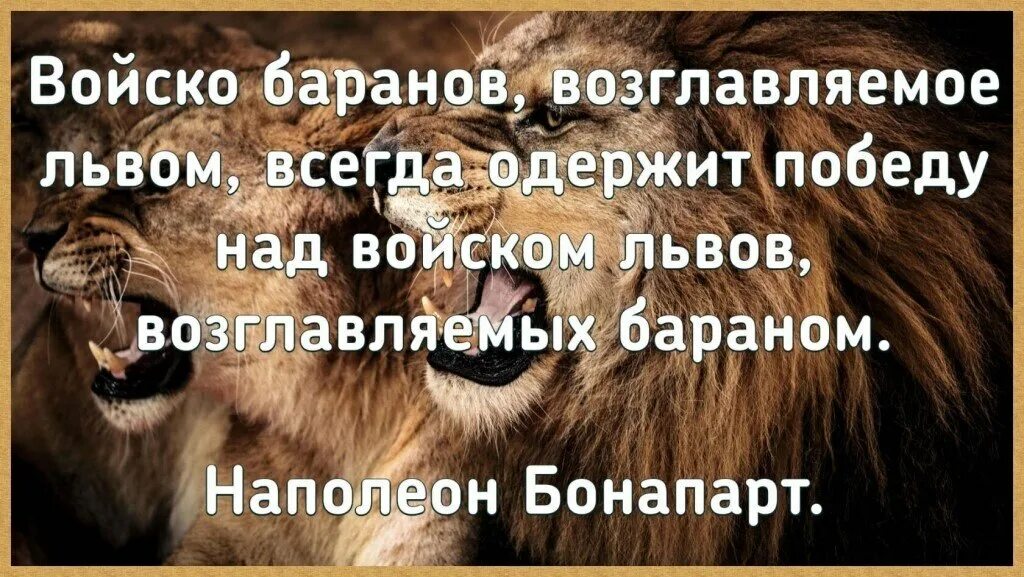 Какой физической особенностью обладал лев. Стадо Баранов во главе со львом. Стадо Баранов возглавляемое львом всегда одержит победу. Если стадом Баранов управляет Лев. Войско возглавляемое львом всегда одержит победу над войском.