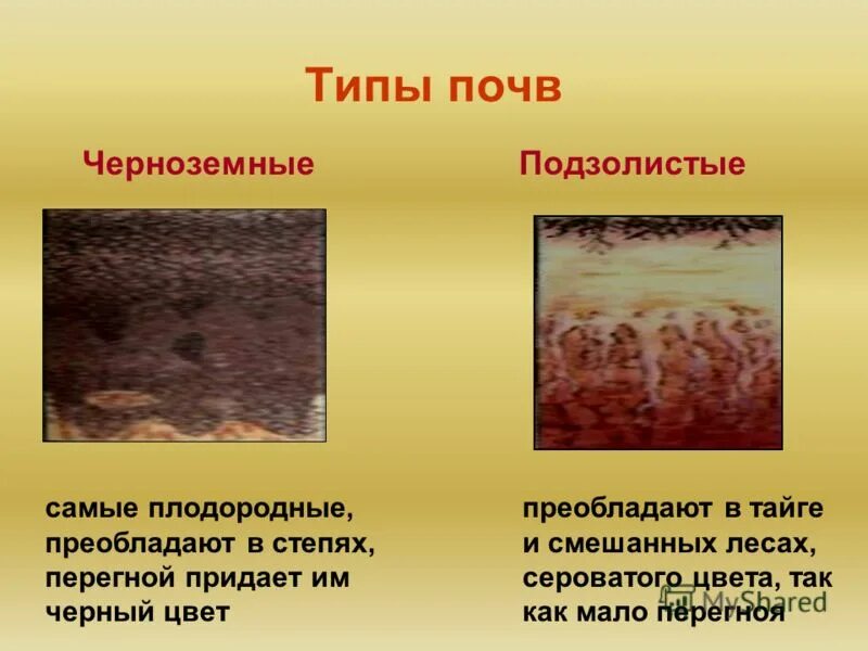 гумус почвы. самые плодородные земли. компоненты почвы. какой компонент почвы придает ей темный. гумус состоит из.