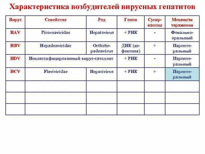 Вирус гепатита характеристика возбудителя. Вирусный гепатит а возбудитель. Характеристика возбудителя гепатита в. Гепатит б характеристика возбудителя. Вирусный гепатит характеристика