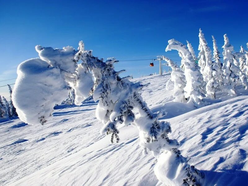Используя сайт горнолыжного курорта снежок компания. Снежный рай. Шерегеш горнолыжный курорт. Шерегеш природа летом. Рай из горнолыжный курорт.
