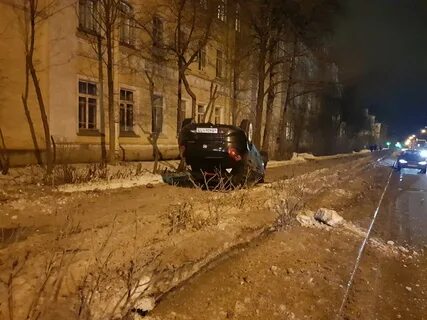 Сегодня в пушкине спб