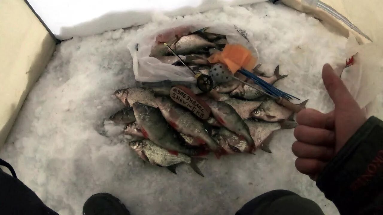 Зимняя рыбалка на Белоярском водохранилище. Зимняя рыбалка на Белоярке. Белоярка рыбалка 2022. Рыбалка на Белоярском водохранилище 2023.