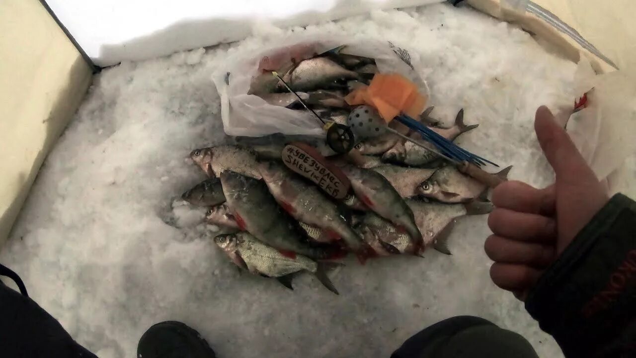 Зимняя рыбалка на белоярском водохранилище 2020. Юмагузинское водохранилище рыбалка. Белоярское водохранилище лещ. Нерест белоярское водохранилище. Рыбалка на белоярском и рефтинском водохранилище.