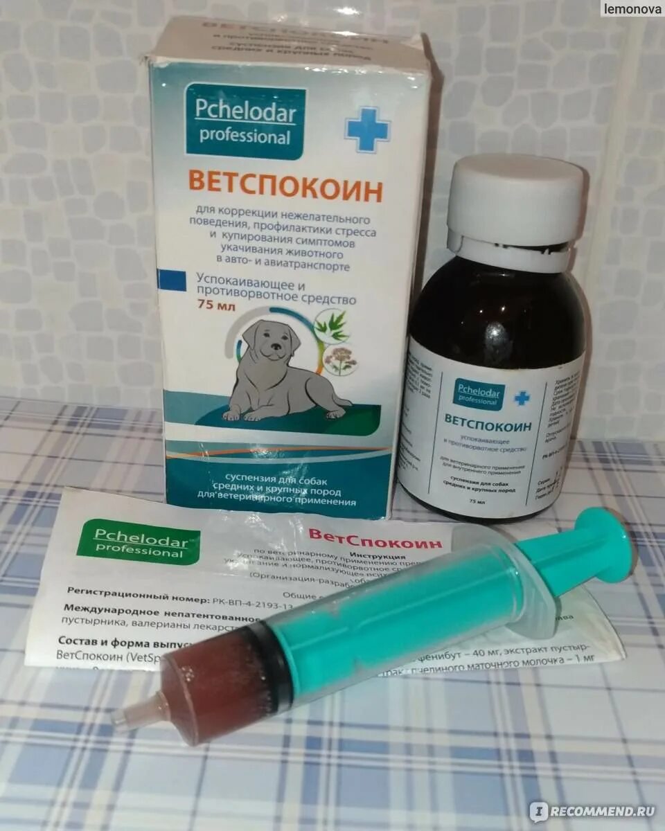 Что можно дать собаке от рвоты