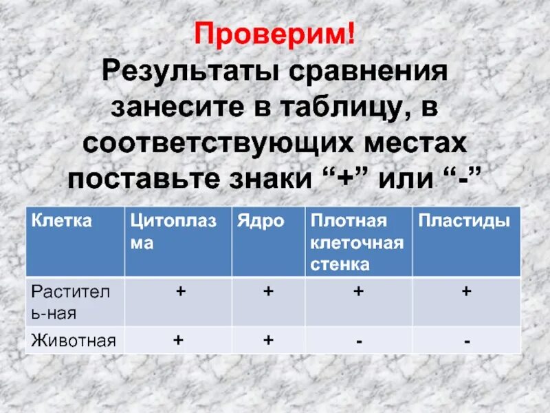 Результаты сравнения занесите в таблицу. Сравните растения. Результаты сравнения занесите в таблицу:. Таблица клетки ядро плотная клеточная стенка. Таблица ядро клеточная стенка, ядро , пластиды. В результате сравнения можно