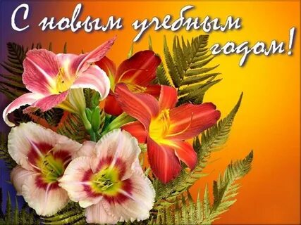 Картинка начало учебного