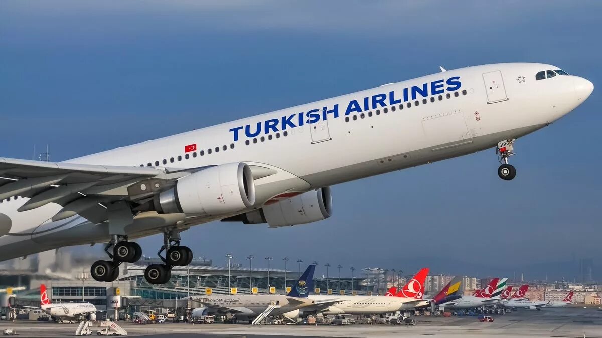 Это рейс Turkish Airlines. Tk 3739 Turkish Airlines. Туркиш Эйрлайнс Бодрум. Самолет Туркиш Эйрлайнс 3739 турецкие.