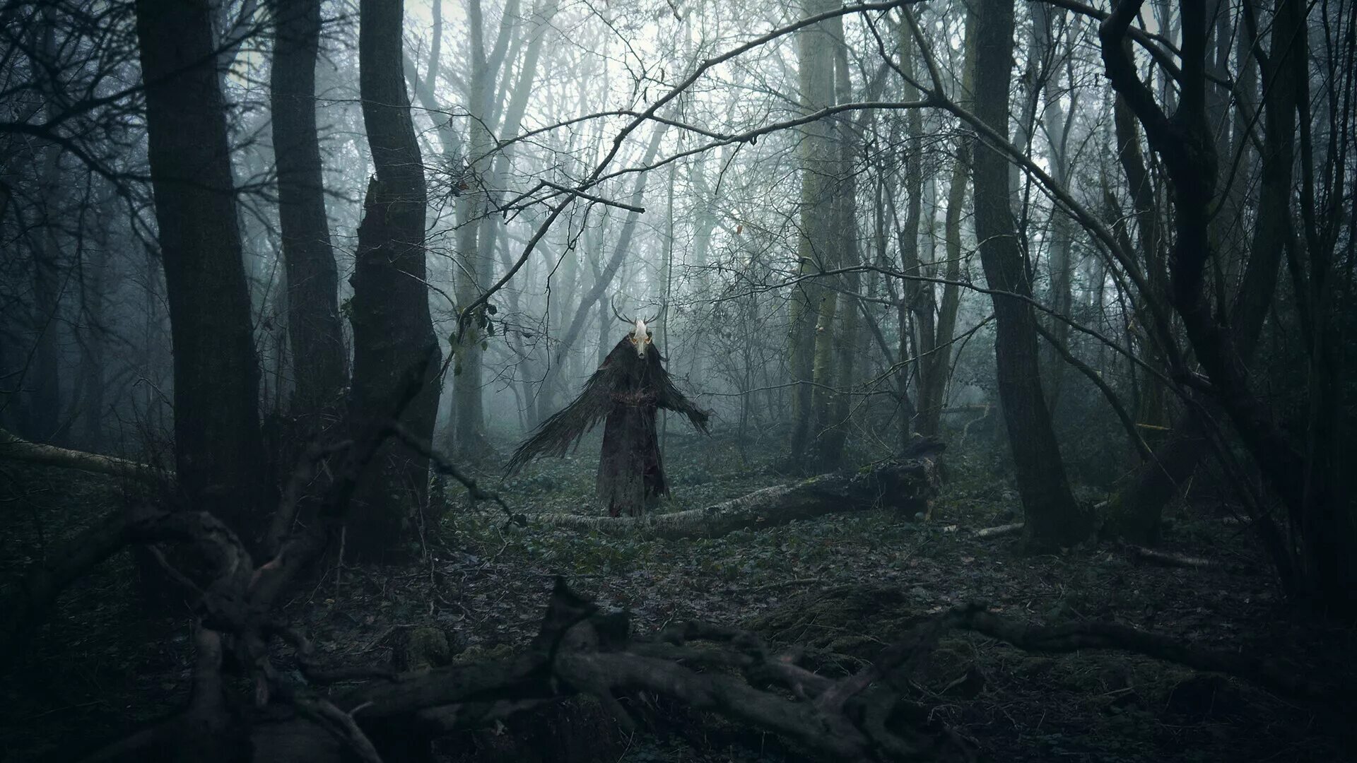 Лес призраков Сатор. Лес призраков: Сатор монстр. Мрачный лес. Хранилище времени затерянная глушь