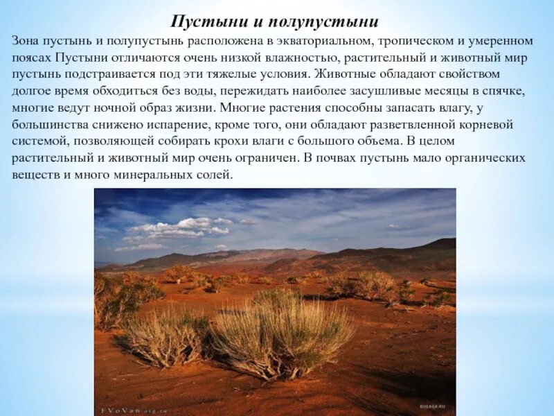 Полупустыни какой пояс. Пустыни и полупустыни растительный мир и животный мир в россии. пустыни и полупустыни россии климат пояс. растительный мир пустыни и полупустыни. климат зоны пустыни и полупустыни.