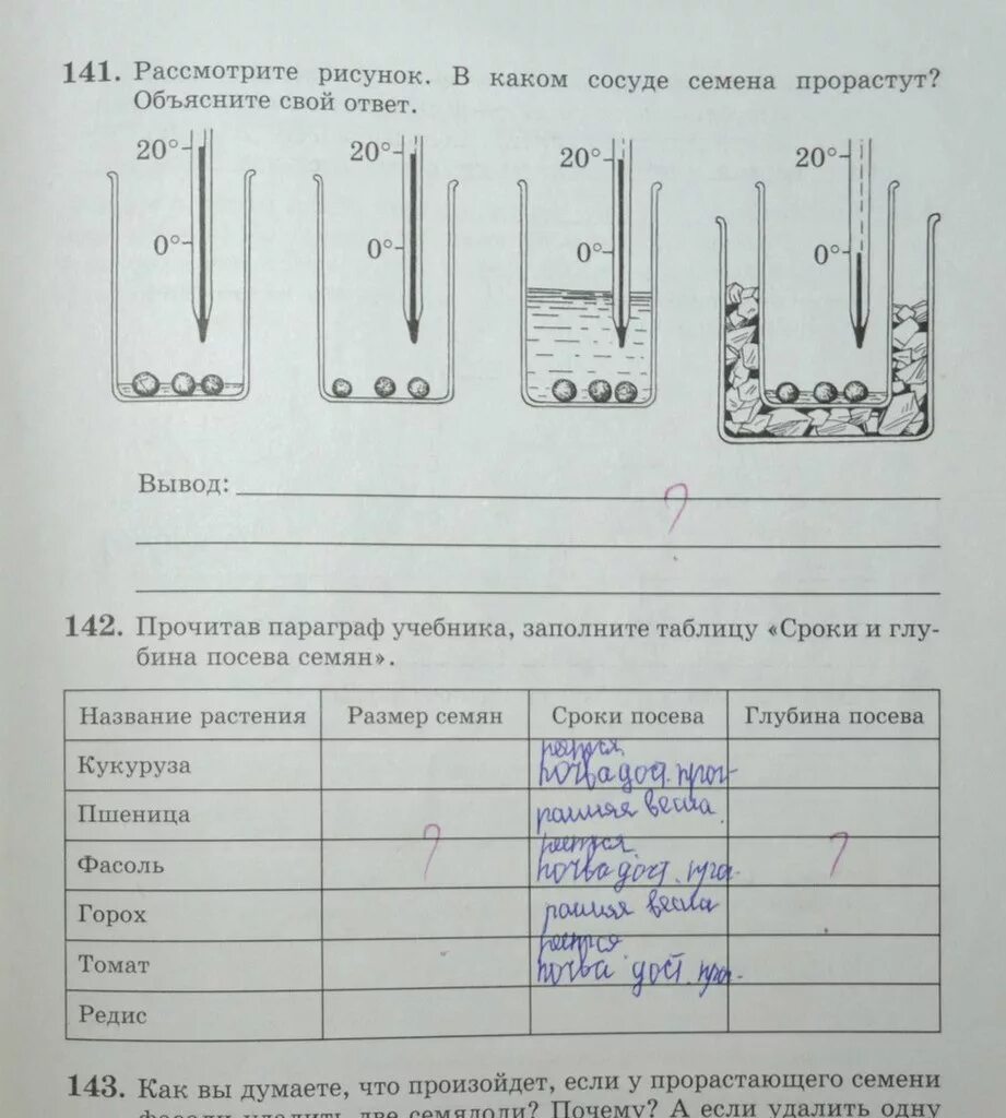 Рассмотрите рисунок в каком сосуде семена. Рассмотрите рисунок в каком сосуде семена прорастут. Глубина посева семян. Рассмотри рисунок в каком сосуде семена прорастут объясни свой ответ. Сроки и глубина посева семян таблица 6 класс биология.