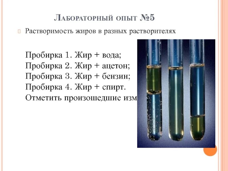 Растворимость жиров. Растворимость жиров опыт. Растворимость жиров реакция. Растворимость жиров в растворителях. Масло вода реакция