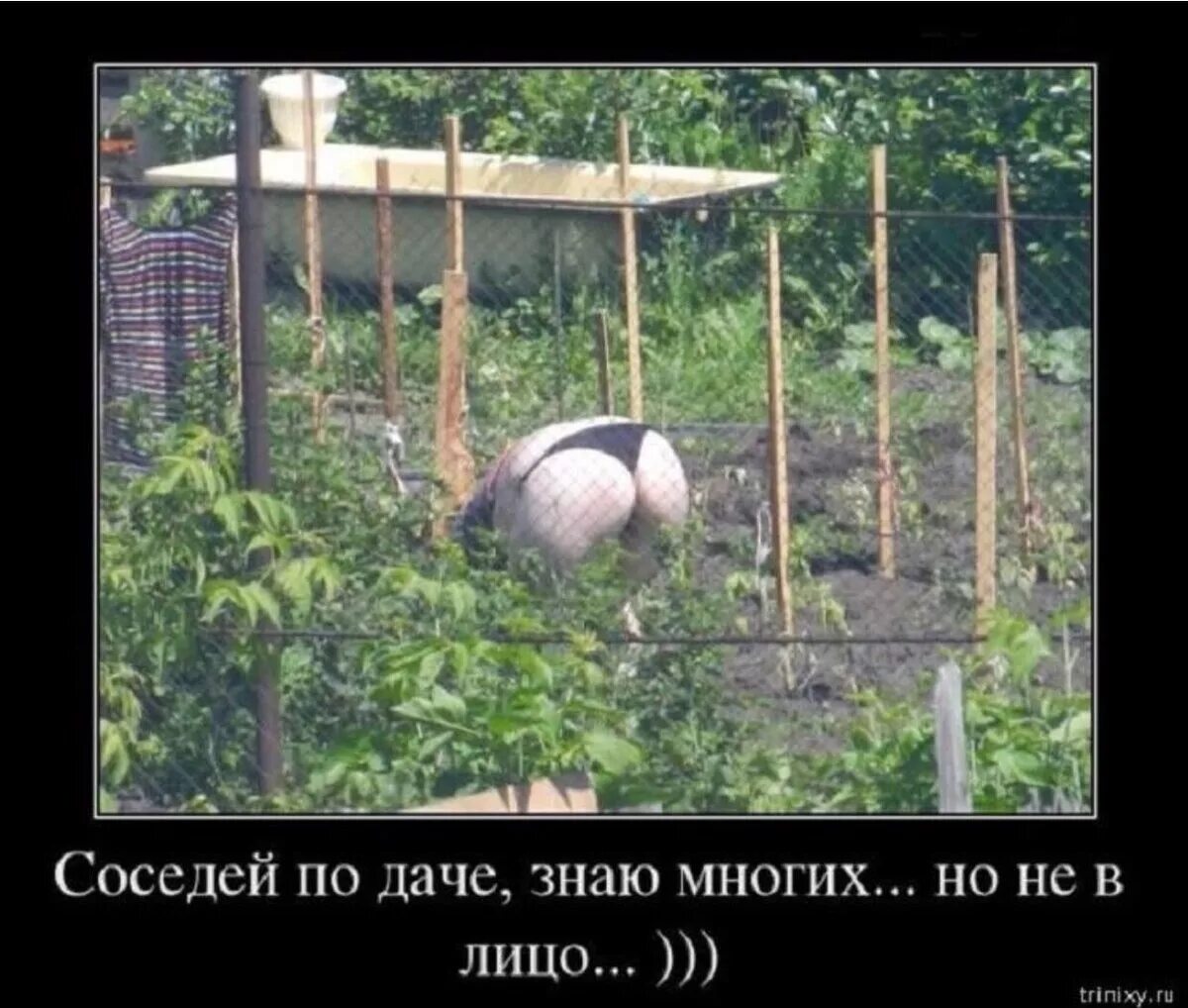 Сделай соседку