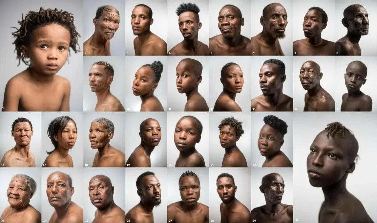 Самые смешные фенотипы негров. Цвет кожи европейцев. Негр. Ainsley harriott мем. Вилли нигга.