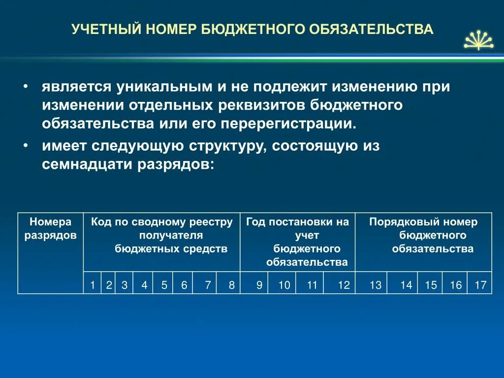 Номер бюджетного обязательства. Учетный номер. Учетный номер обязательства. Учетный номер бюджетного обязательства. Цена не подлежит изменению