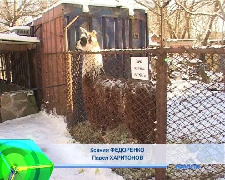 Ключи зоопарк