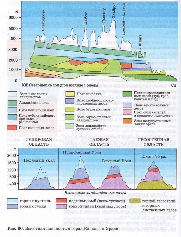 Высотная поясность уральских гор география. Схема высотной поясности гор южной сибири. От чего зависит атмосферное давление. Высотная поясность гор россии таблица. Многоэтажность природы гор 8 класс география презентация.