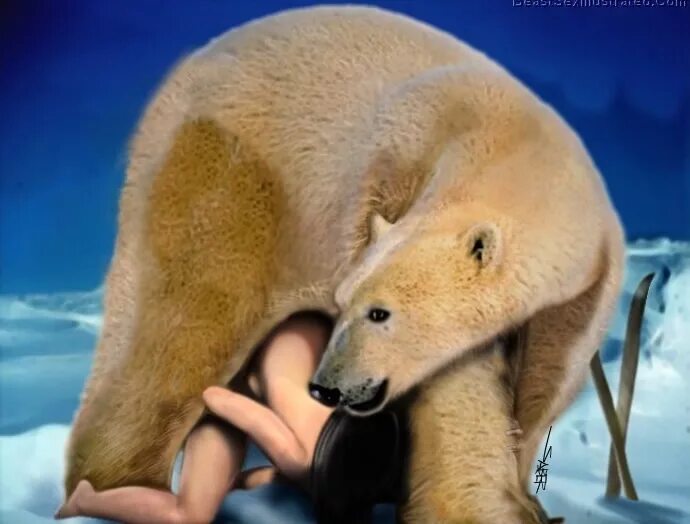 Секс Девушки И Настоящего Медведя