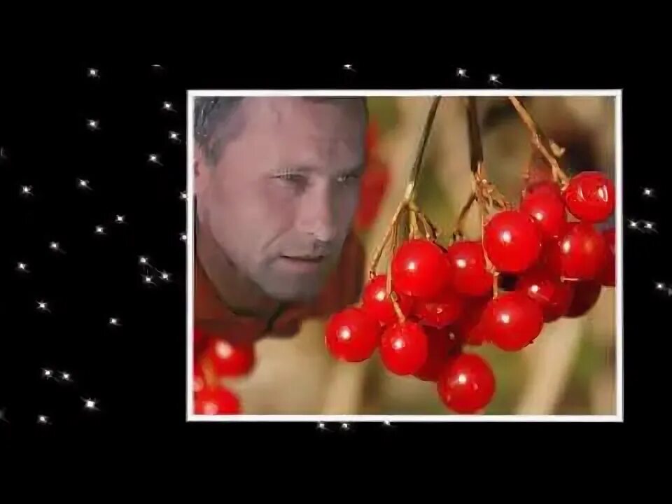 Калина красная слуцкий. Вика цыганова калина красная. Незнакомка калина красная. Слушать любовь калина красная. Сборник калина красная.