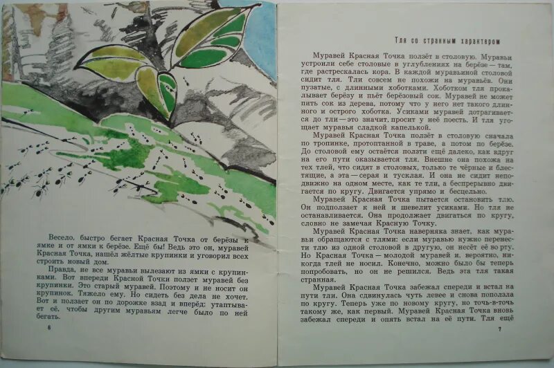 Дом абрамов краткое содержание по главам. Муравей красная точка иллюстрации книги. муравей красная точка читать. иллюстрации книги натальи романовой муравей красная точка. трава мурава краткое содержание.