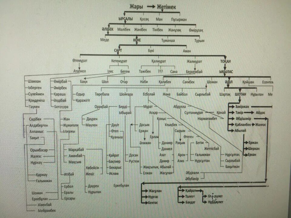 Ханы кланов. Шежире казахов Аргын. Родословная казахов среднего жуза Найман. Генеалогическое Древо казахов среднего жуза. Родословная казахов среднего жуза Керей.