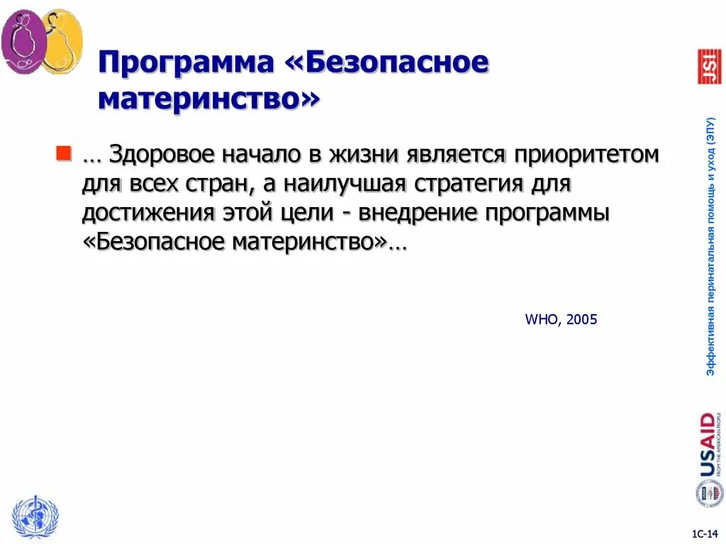 Концепция безопасного материнства. Государственная программа безопасное материнство. Государственная программа безопасное материнство презентация. Концепция безопасного материнства презентация. Цель материнства