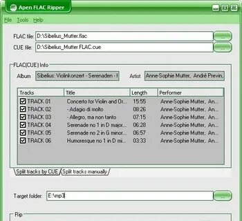 Flac cue
