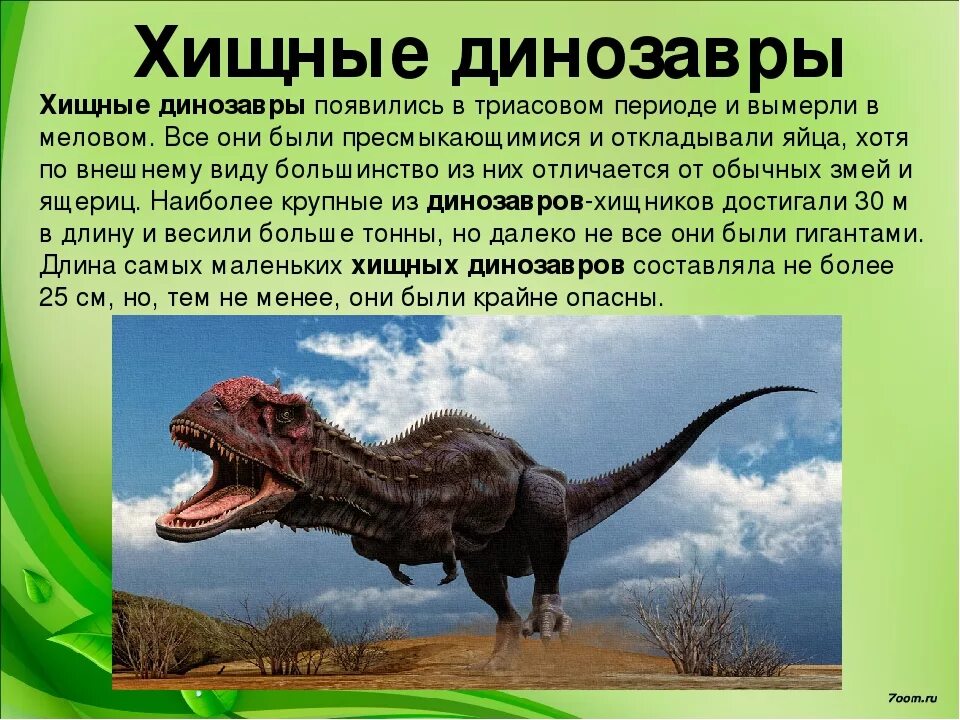 Какой динозавр появился. Описание динозавров. интересные сведения о динозаврах для детей. динозавры информация для детей. интересная информация про динозавров.