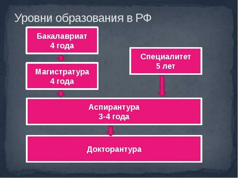 Система магистр. Уровни образования магистратура бакалавриат. Степени образования бакалавриат магистратура. Что такое бакалавриат и магистратура и специалитет. Отличие бакалавриата от специалитета и магистратуры и аспирантуры.