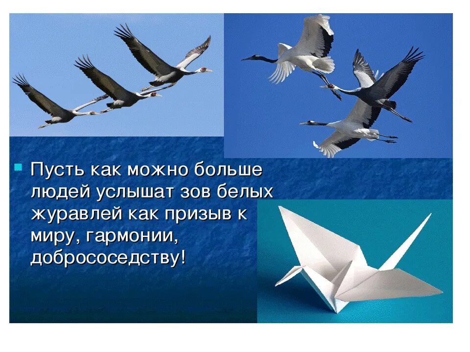 Журавль символ чего в россии. Литературный праздник белые Журавли. 22 Октября литературный праздник белые Журавли.