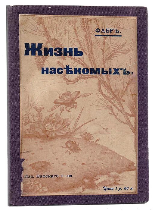 Жизнь насекомых. Жан фабр жизнь насекомых. Ж а фабр инстинкты и нравы насекомых. ,. Жан анри фабр книги.