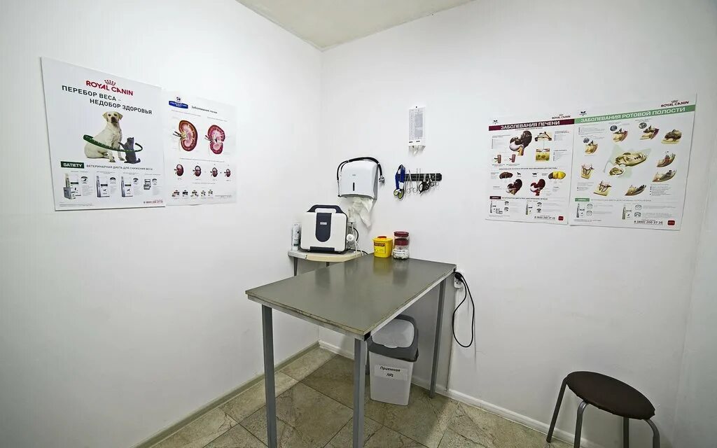 ветеринарная клиника на гайдара в дагомысе. ветаптека дагомыс. ветеринар дагомыс армавирская. ветеринарная клиника дагомыс. ветеринарная клиника zooroom's сочи.