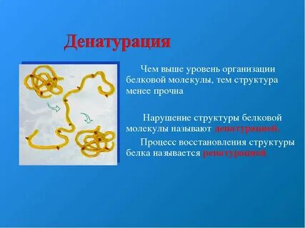 Денатурация трипсина