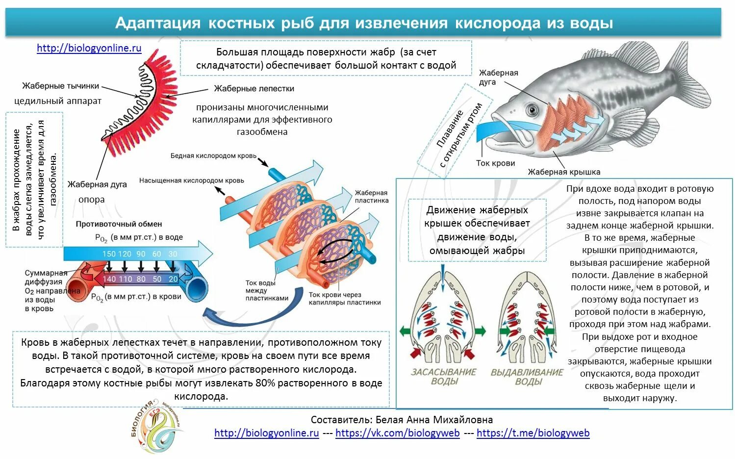 Извлечение кислорода из воды