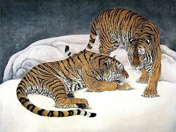 Тигр живопись. Тигр рисунок. Японская живопись тигр. Китайская живопись животные. Ли тайгер