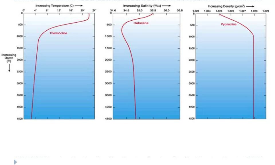 График изменения температуры с глубиной. Изменение плотности воды. Плотность воды на глубине. Суточный термоклин. Изменение температуры с глубиной