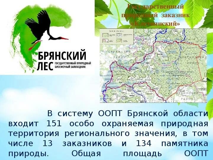 Какая природная зона в брянской области. Заповедник Брянский лес на карте. ООПТ Брянской области. Брянский заповедник Брянский лес территория. Заповедник Брянский лес лес на карте Брянской области.