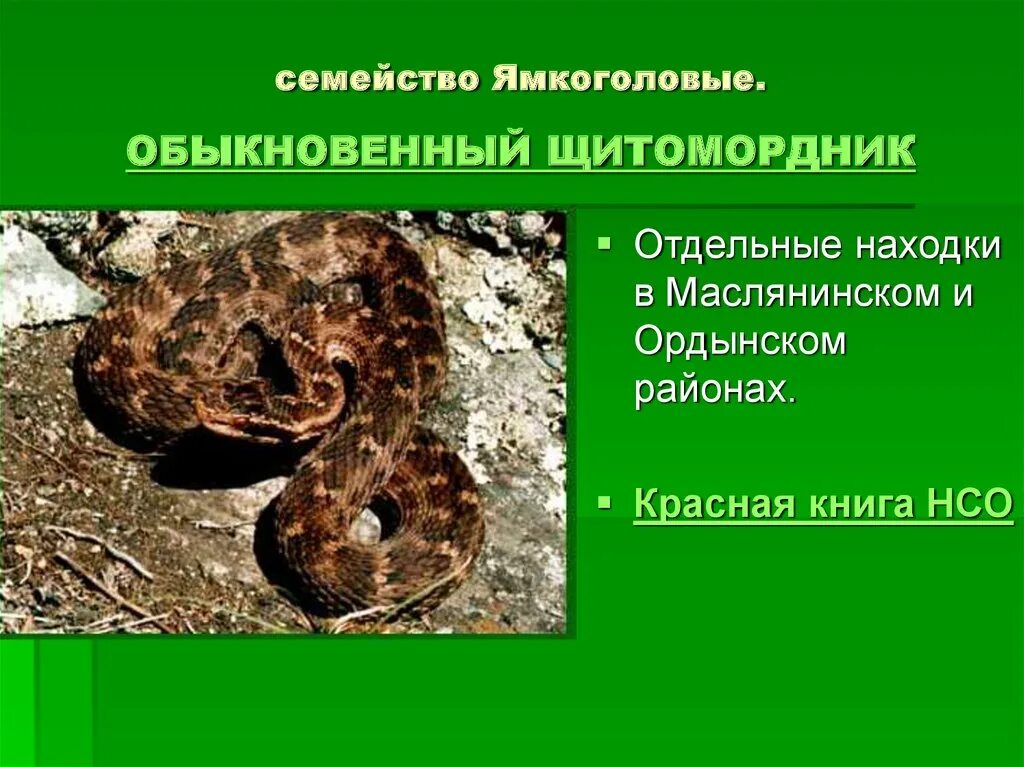 Рептилия которая занесена в международную красную книгу