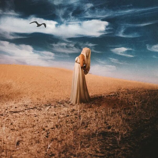 Пустынна и печальна. Одинокий в пустыне. Засуха. Путник в пустыне. Пустынна и печальна.