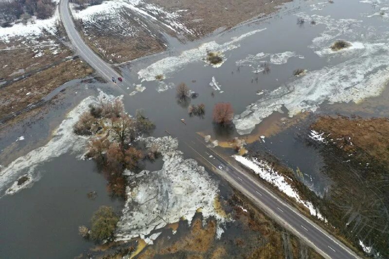 Уровень воды в белоомуте на сегодня оке. Белоомут разлив 2023. Половодье Серпухов 2023. Разлив в Белоомуте 2023. Дединово разлив Оки.