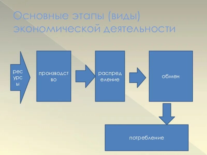 Экономическая деятельность покупка продуктов. Виды экономической деятельности. Виды и стадии экономической деятельности. Основные стадии экономической деятельности. Основные этапы экономической деятельности.