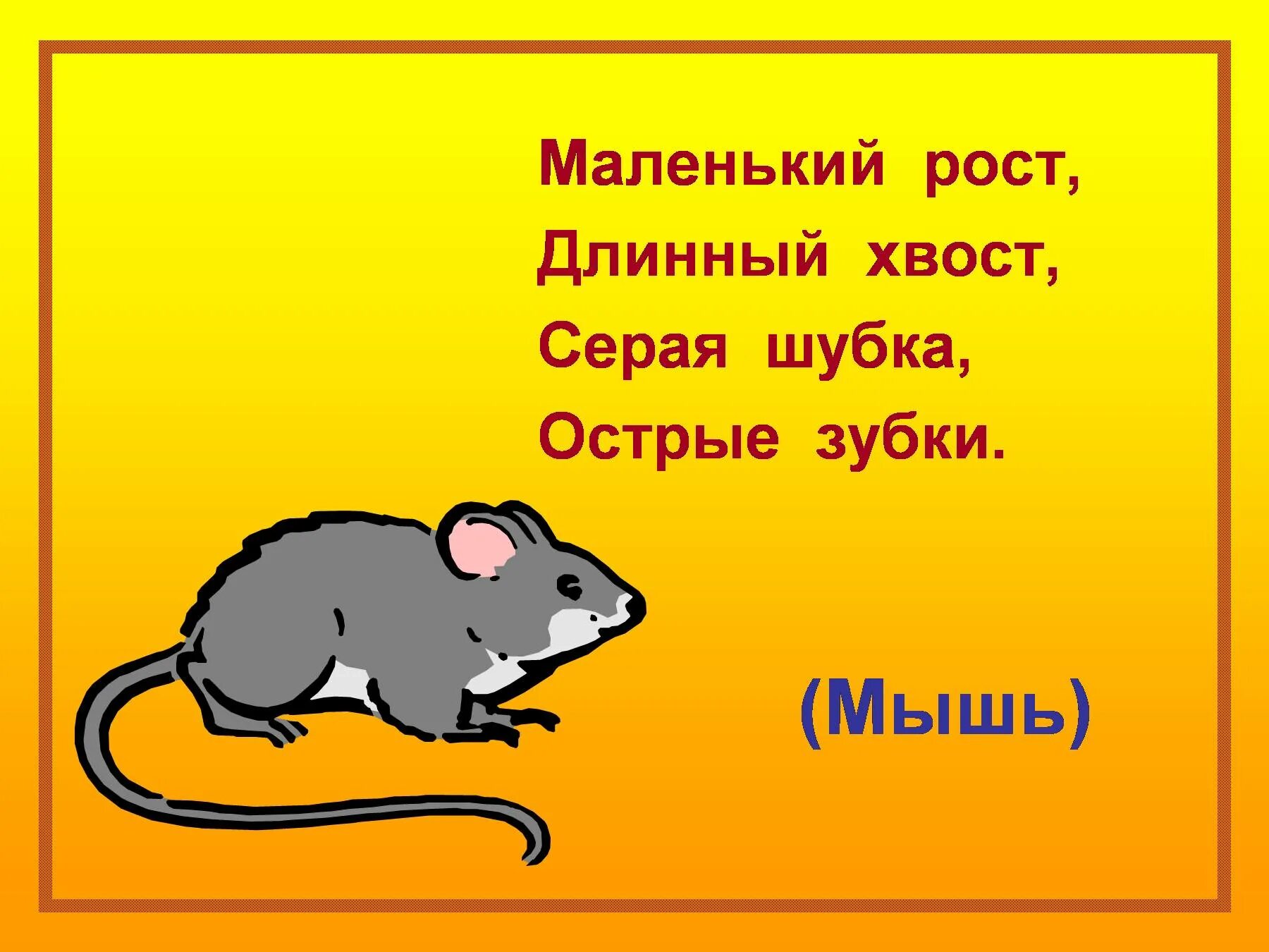 Я живу в темной норке 2 класс. Маленький рост длинный хвост серая шубка острые зубки. Маленький рост длинный хвост серая шубка острые зубки загадка что это. Маленький рост, длинный хвост, серая шубка, острые зубы. Загадка про мышь.