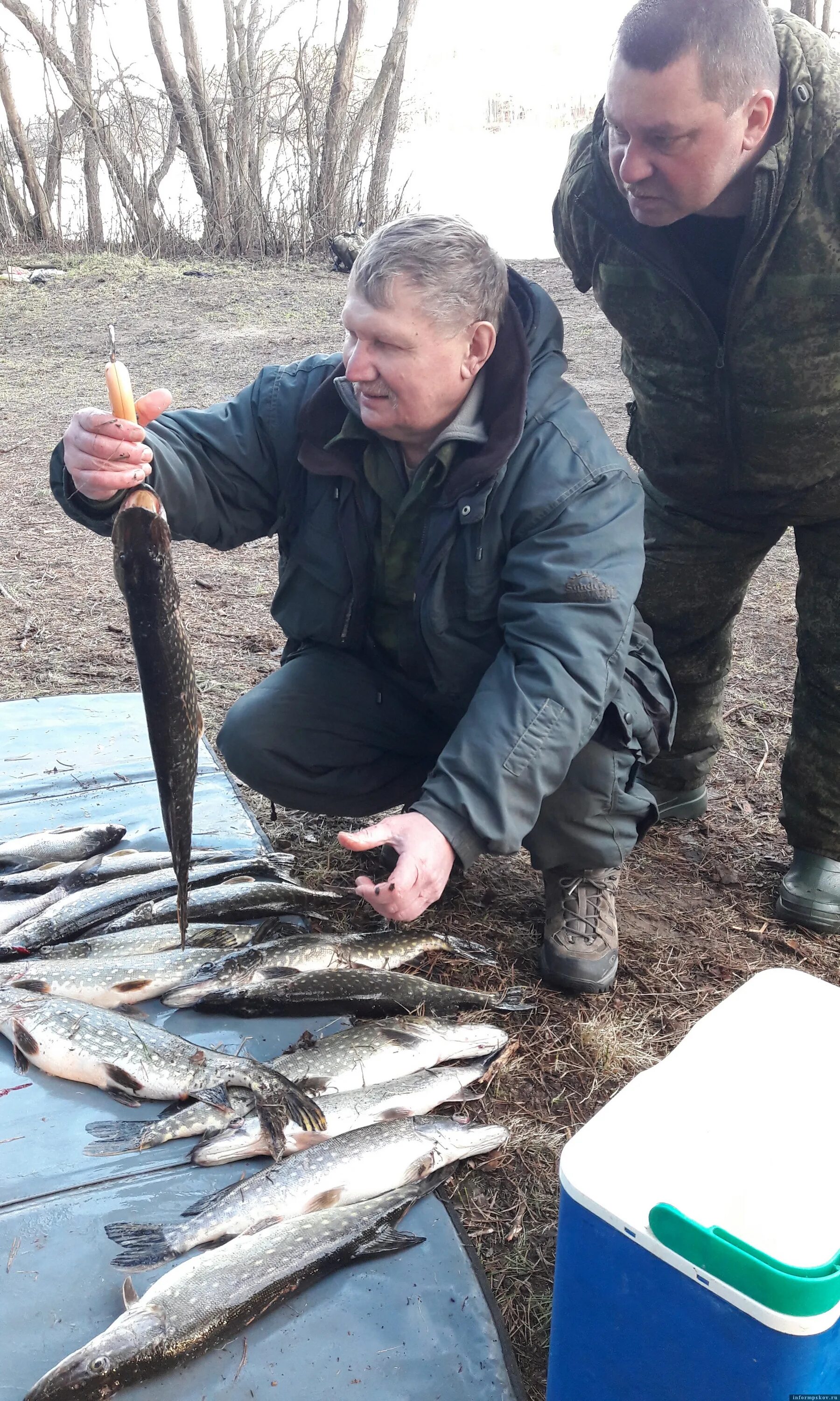 Погода щучье на 10 дней точный