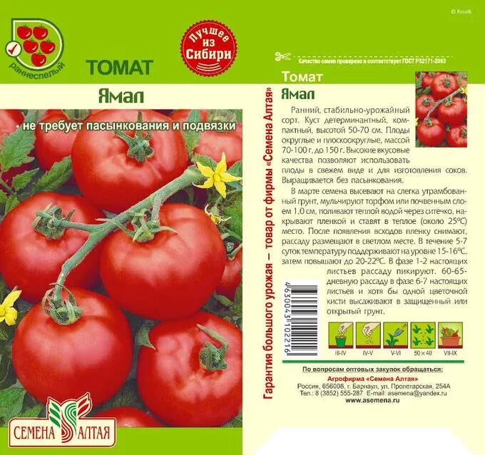 Томат взрыв описание урожайность. Семена томат "Ямал-200". Семена томат. Ямал 200.характеристика. Ямал семена помидор. Семена томат Ямал.