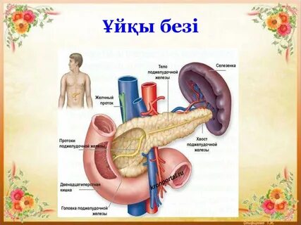 Эмма Старрмен онлайн порно