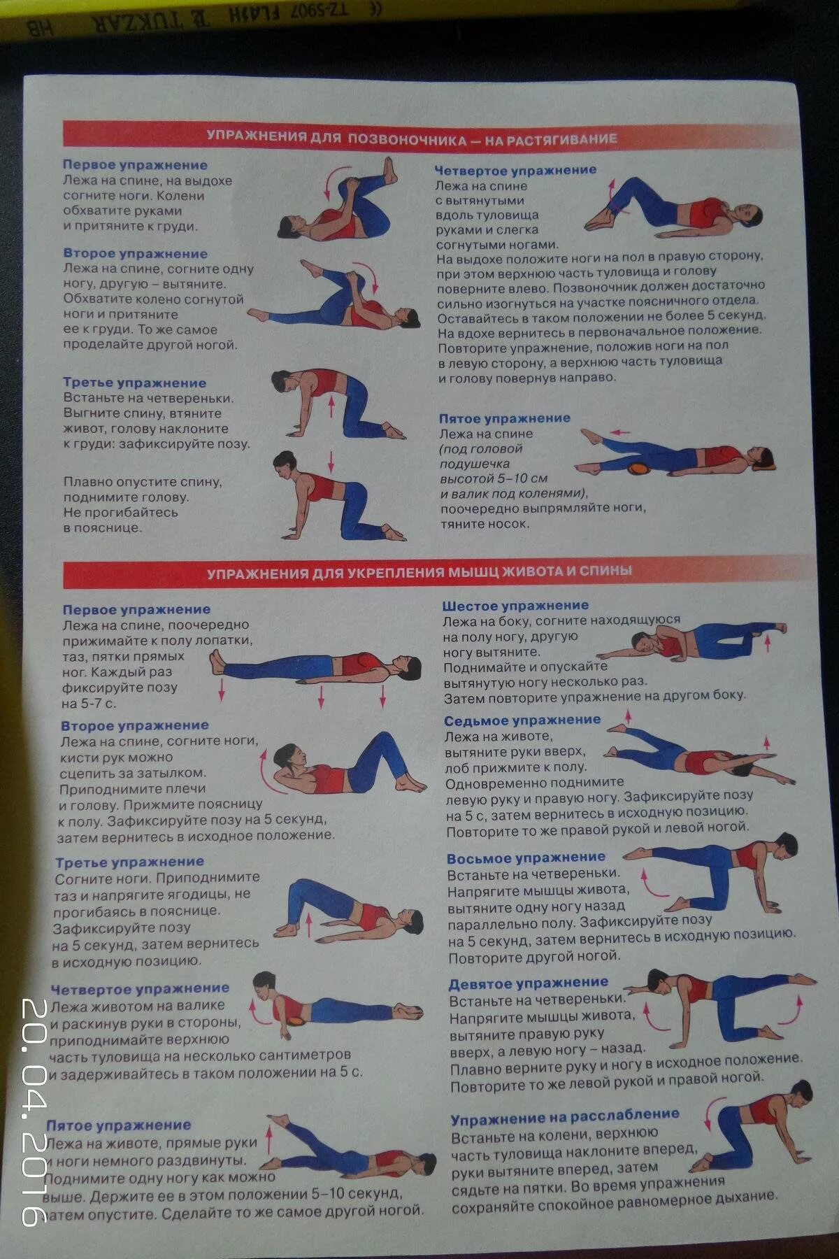 Упражнения для мышц живота и спины. Гимнастика для укрепления мышц спины. Комплекс для укрепления мышц спины и позвоночника. Упражнения для укрепления мышц спины и позвоночника для женщин. Комплекс ЛФК для укрепления мышц спины.