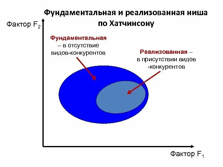 Фундаментальная экологическая ниша. Фундаментальная экологическая ниша примеры. Потенциальная и реализованная экологическая ниша. Экологическая ниша фундаментальная и реализованная ниши. Потенциальная ниша